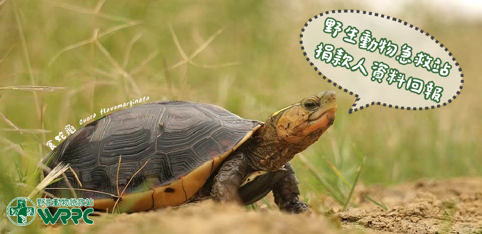 急救站捐款人回報表單